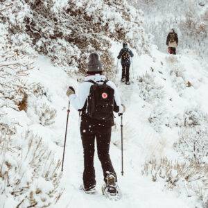 雪地森林健行