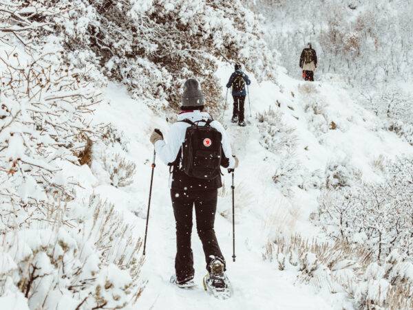 雪地森林健行